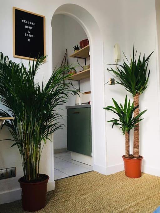 Appartement Mignon, Plein Centre Biarritz Exterior foto